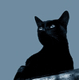 Аватар для Ilioscats