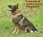 ltext 1107034148.p 1107034902.smel4