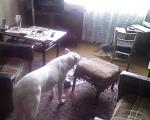 Photo 0220 
 
 