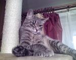 Photo 0157 
 