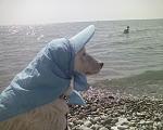 Photo 0204  