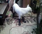 Photo 0246 
