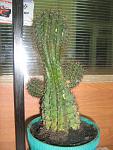 IMG 0004