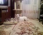 Photo 0280 
