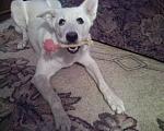 Photo 0189 
 