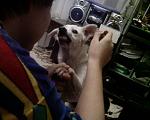 Photo 0249 
  