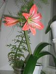 IMG 0001