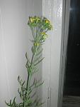 IMG 0002