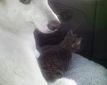 Photo 0191 
  
