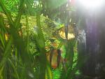 IMG 4289