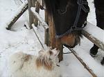 IMG 0478