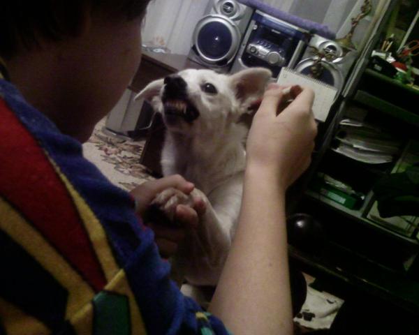 Photo 0249
  